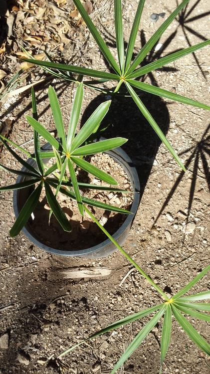 2016-08-21 16.04.36.jpg