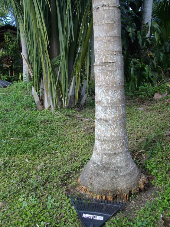 57c753f0dcece_001(4).thumb.JPG.428e43690