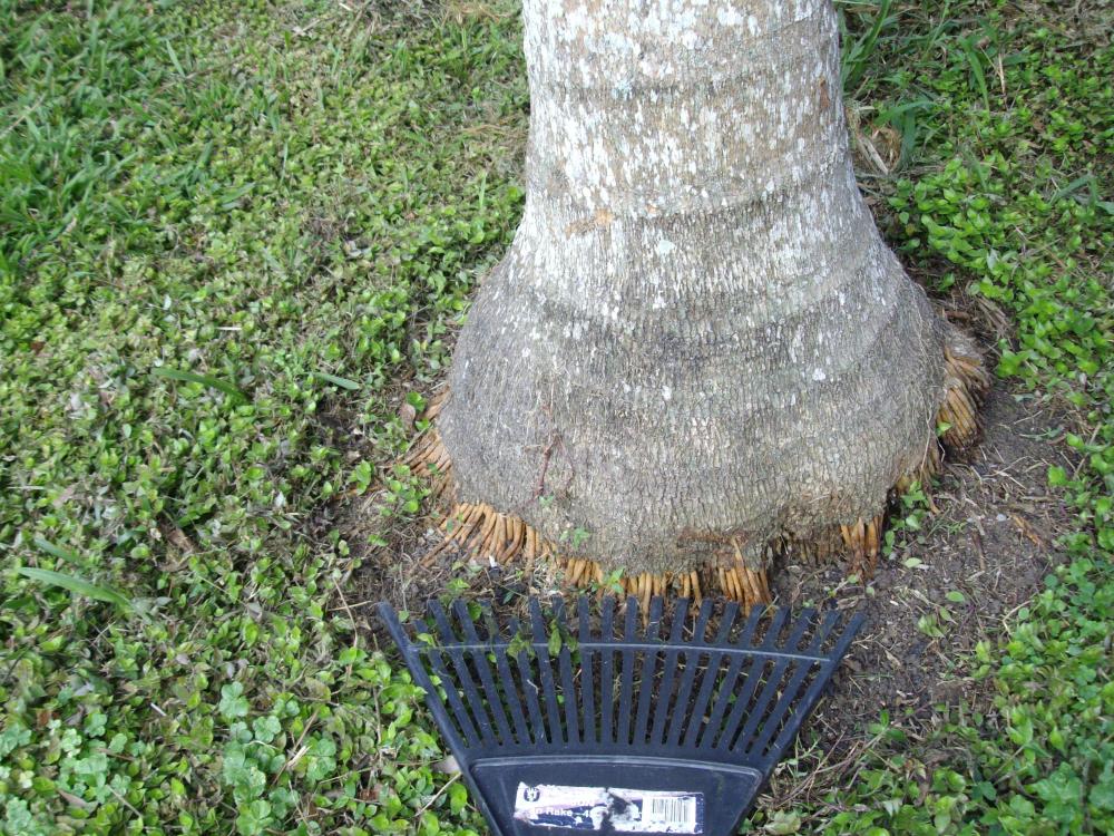 57c754036912d_002(4).thumb.JPG.3cd3da74e