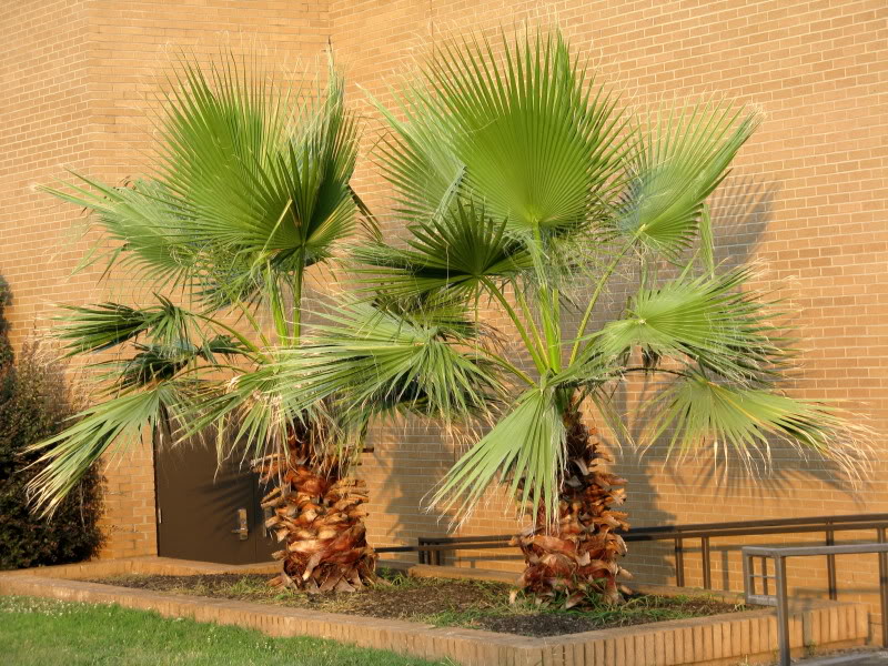 image.jpeg.9a1e410fa798a30070221138b1f0e