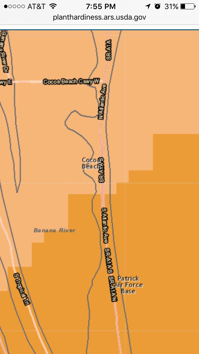 Coconut Palms In Zone 9b? Page 2 DISCUSSING PALM TREES WORLDWIDE