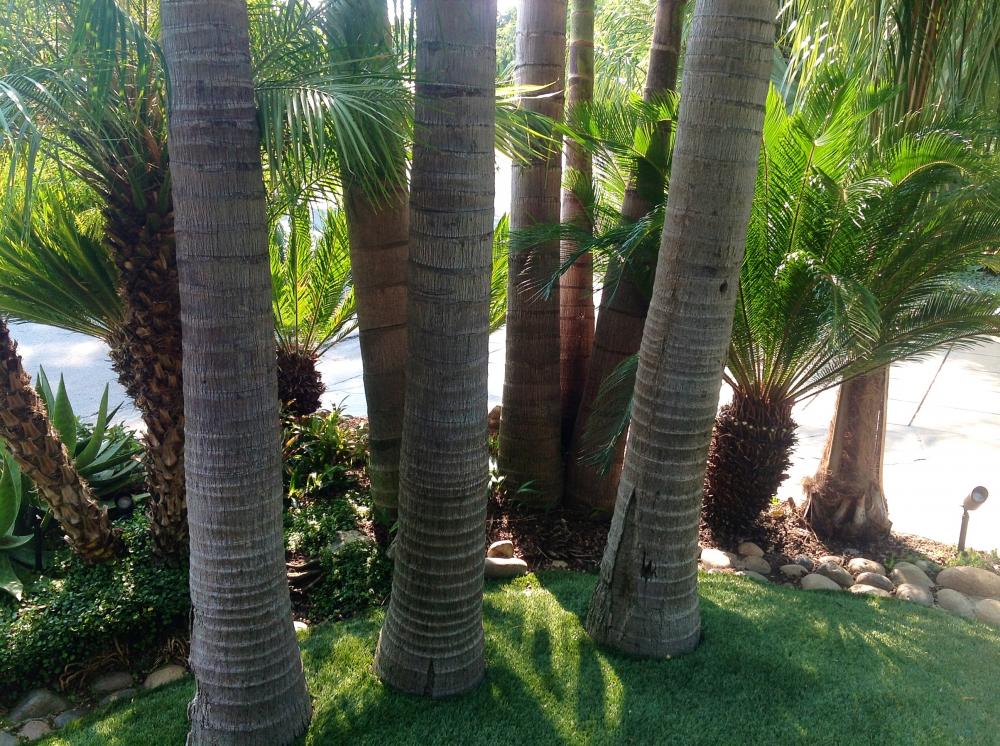 image.thumb.jpeg.d2f461cf3f062f9c5f9c59a