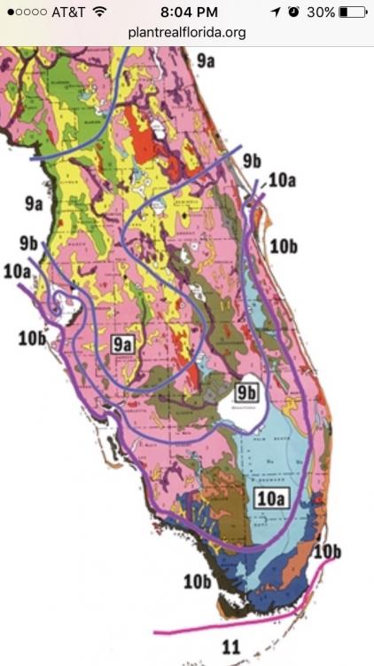 image.thumb.jpg.07b8dc5a294aa7a49c82a79d