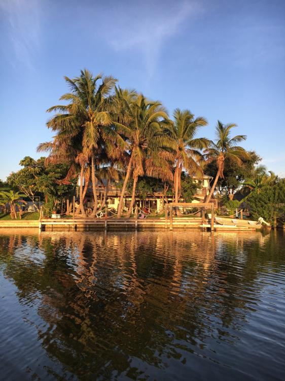 image.thumb.jpg.3adb20a6fcf26aed9256cc0e