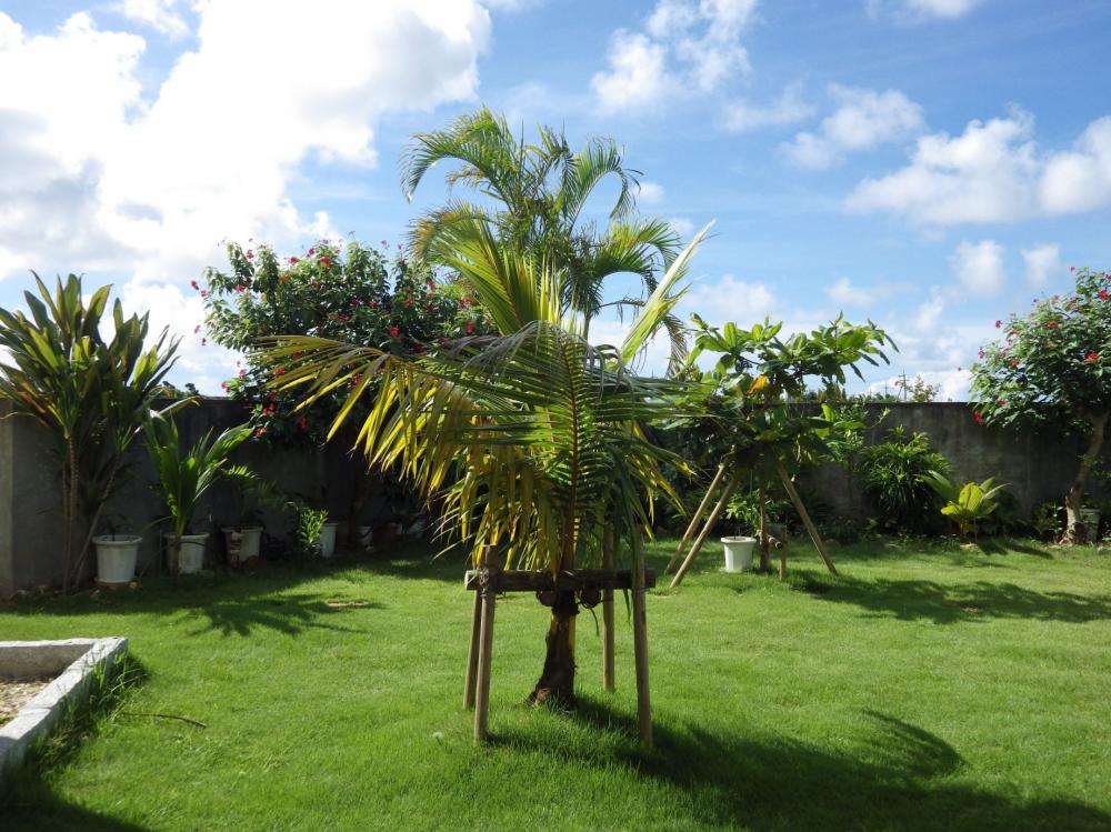 003-jul-14.thumb.JPG.5a3594ea00c65b2eb39