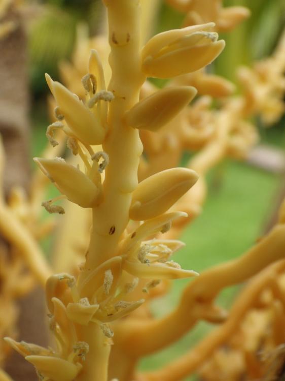 010-sept-16.thumb.JPG.15e0da11d068e4739b