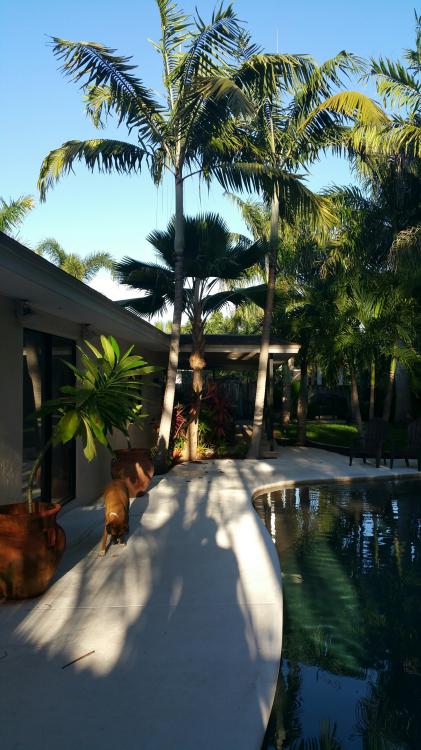 20160917_182006_resized.jpg