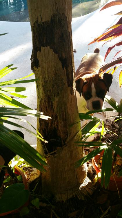 20160917_182034_resized.jpg
