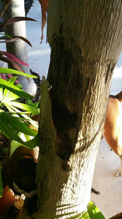 20160917_182107_resized.jpg