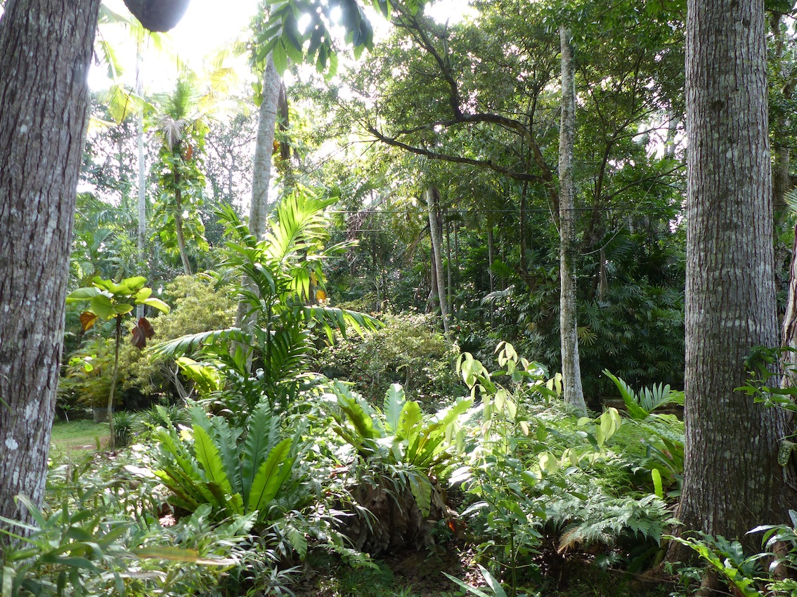 last month's visit in Thabit's garden