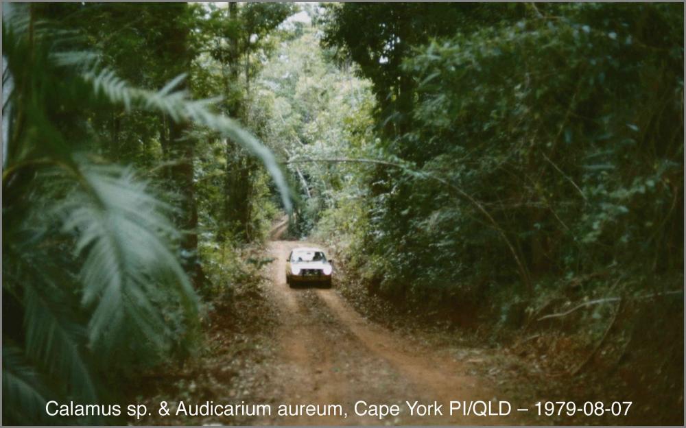 57e7eeb2814de_Audi50CapeYorkPI1979-08-07