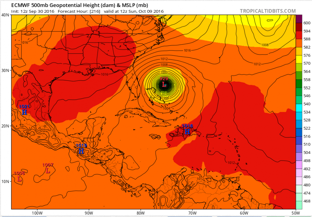 matthew euro4.PNG