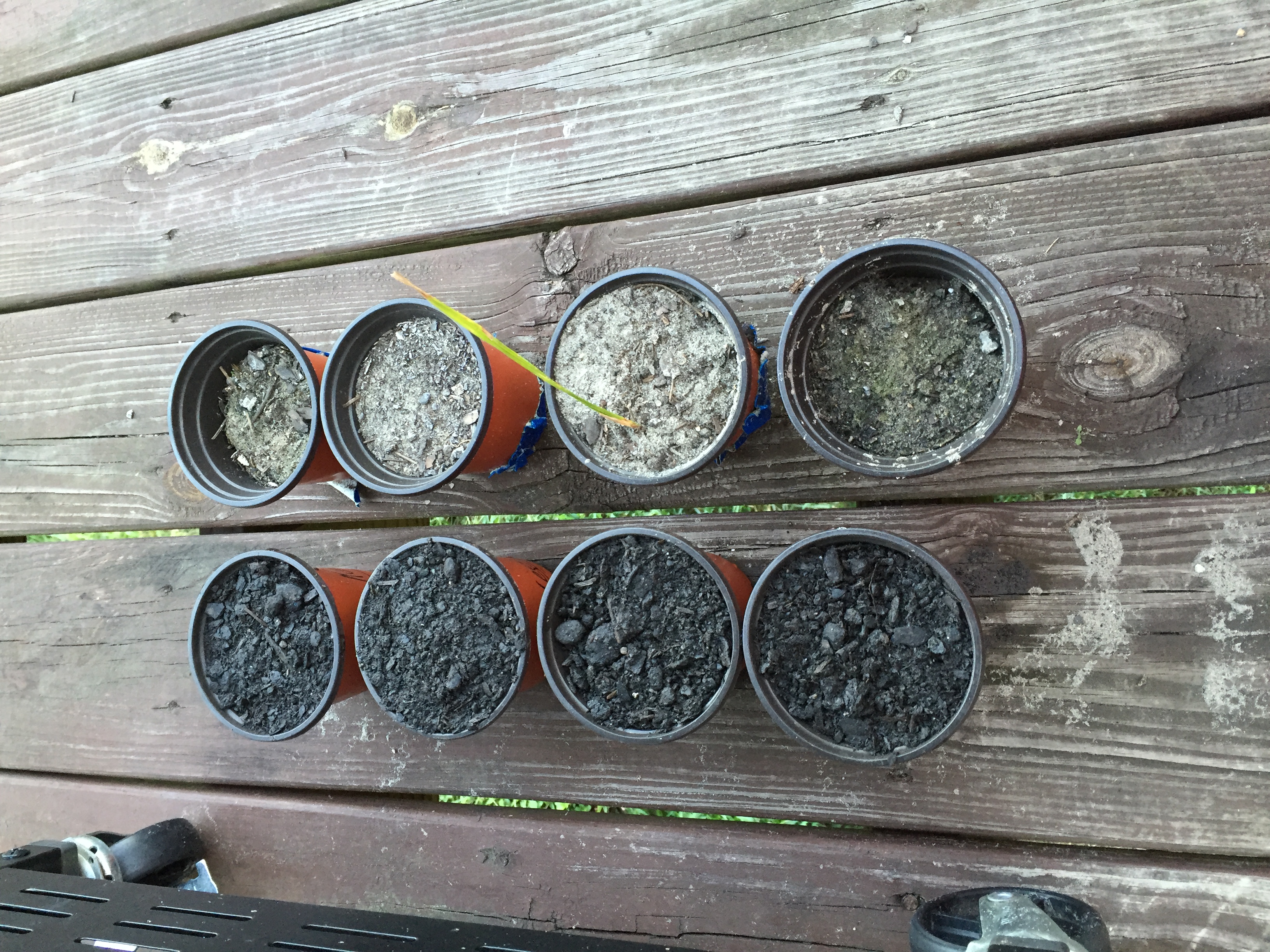My Seed Germination Station....Thing...