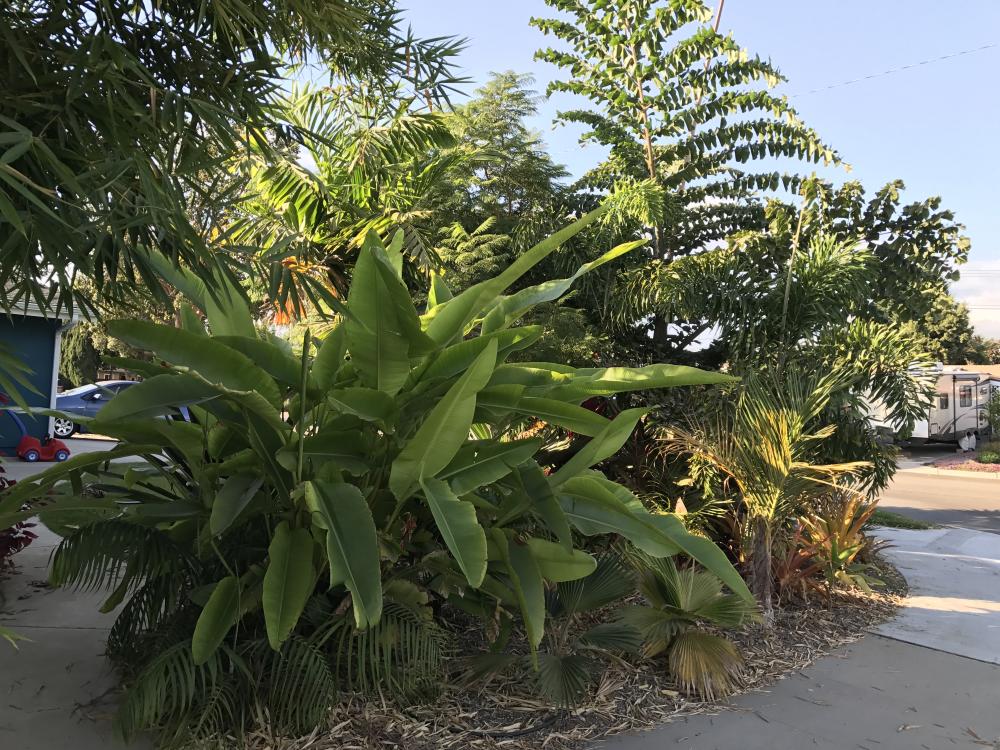 IMG_7452.thumb.JPG.2bf188cc4c151bb11b5dd