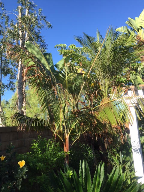 IMG_8061.JPG.f8787c011b0555c0565ebba7a06