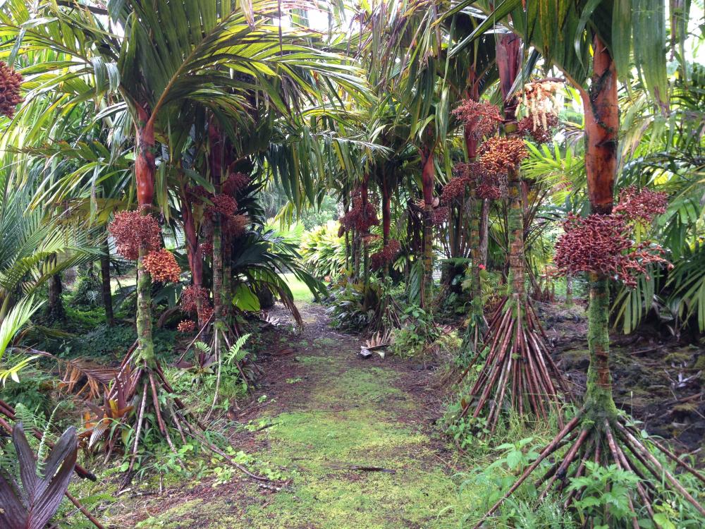 image.thumb.jpeg.fb55aebb1b760e1ac8ca6f7