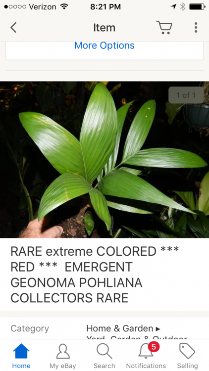 image.thumb.png.444e1b87c1919bef83a661dc