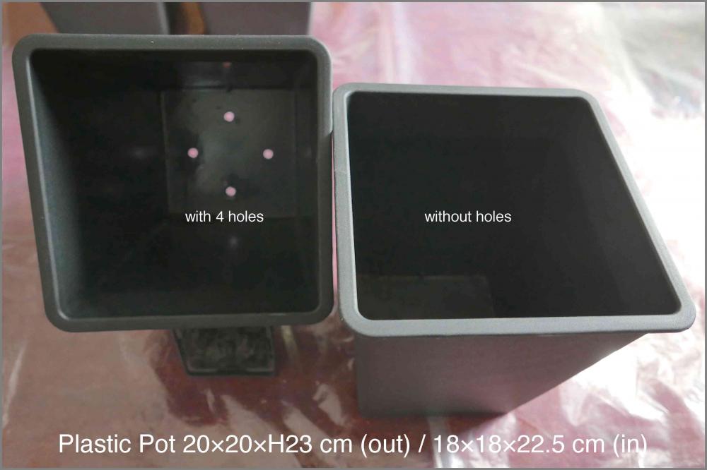 57fa453a9e73c_PlasticPotP1020872.thumb.j