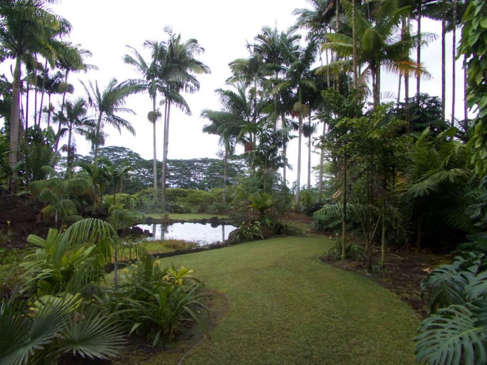 P1020753.jpg