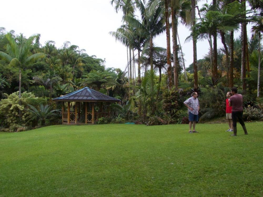 P1030081.jpg