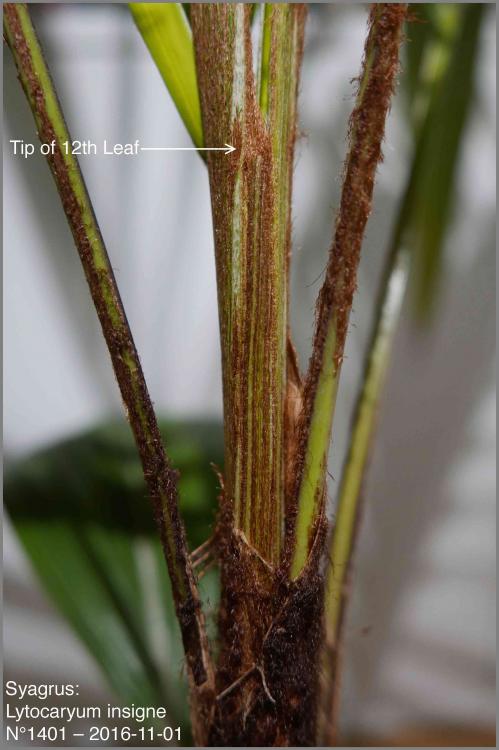 5818d725caa22_N14012016-11-01P1020980.th