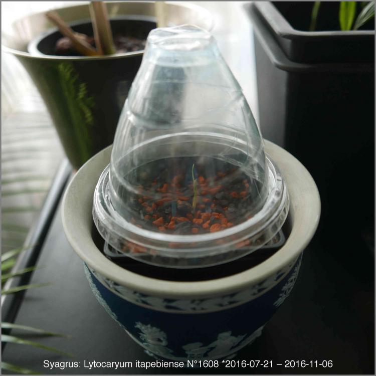 581f16ec123b5_Nano-Greenhouse2016-11-06P