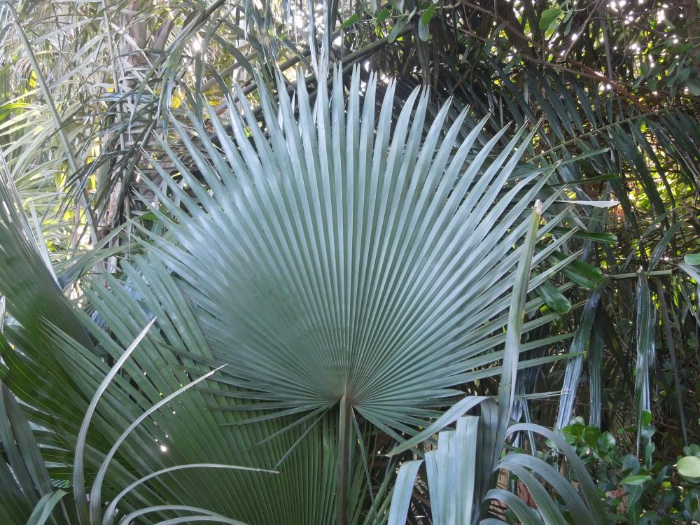 DSCN4607.JPG