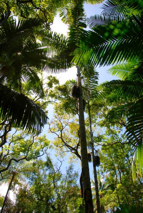 DSC_0069.thumb.jpg.d54e73a15338e107f4fb3