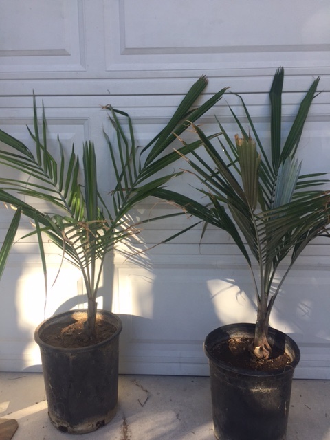 IMG_7789.JPG.95224a31964f855645e401ee626