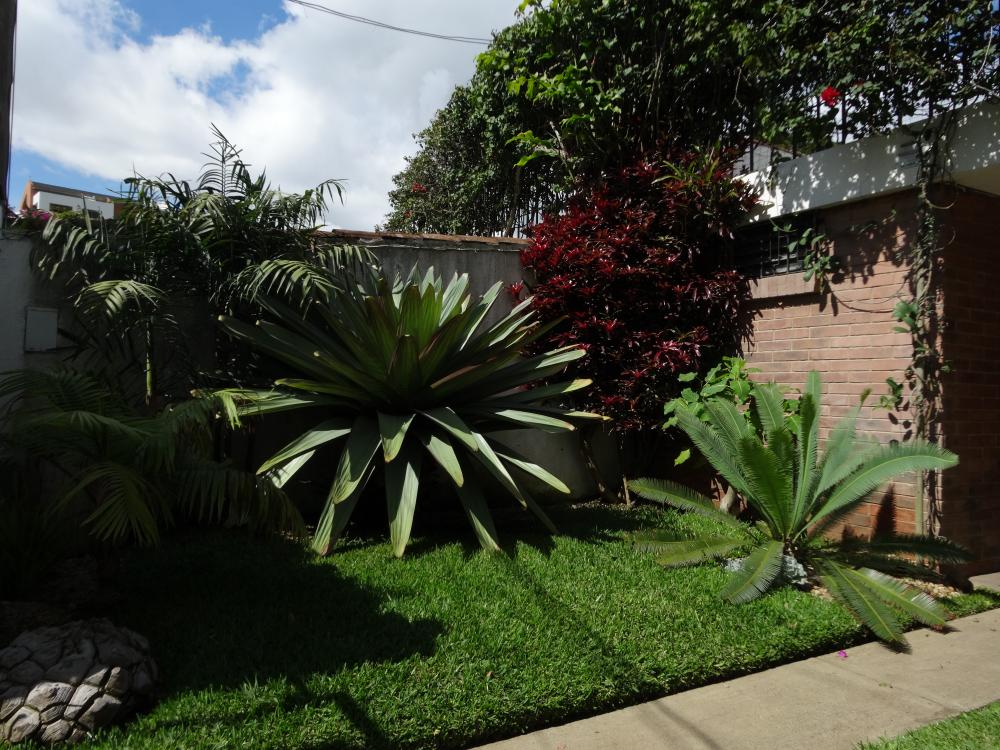 58408366b7f67_Frontgarden.thumb.JPG.e26a