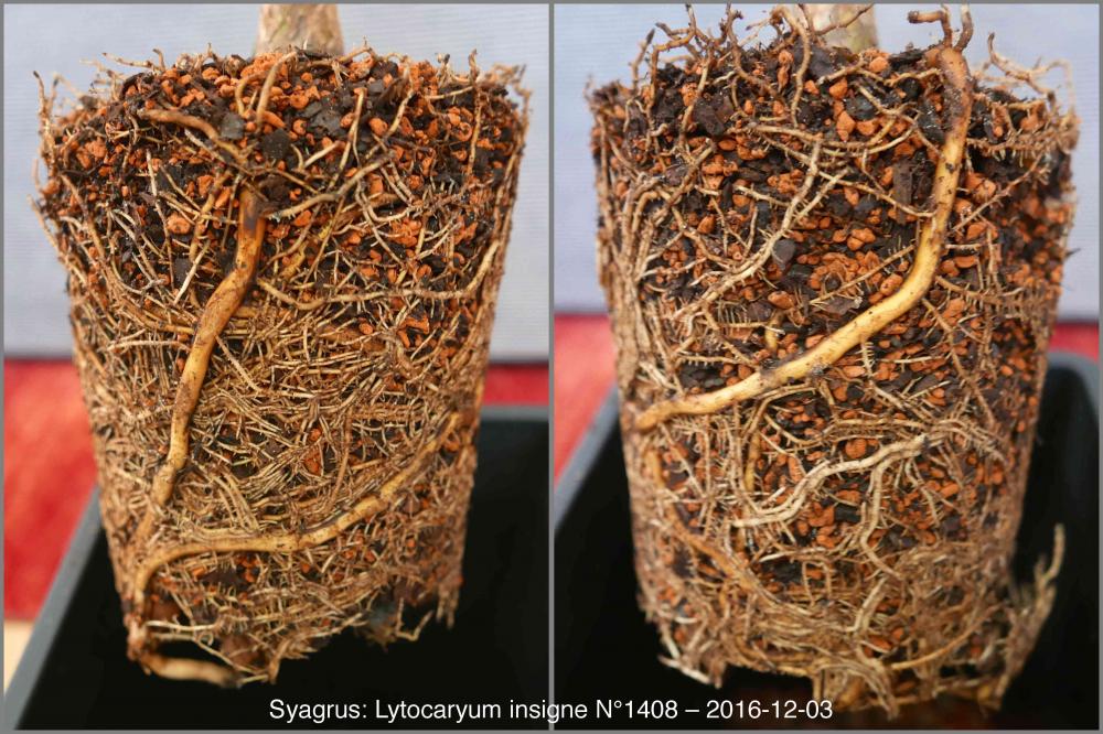 5842e1030670e_N14082016-12-03P103006364.