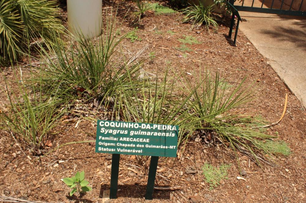 5865851fb7e43_Plantarum132.thumb.JPG.d3c