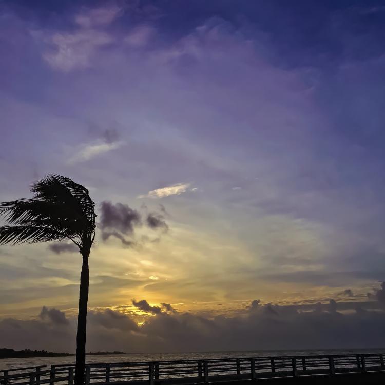 F76B2DD4-CE4D-4964-830D-A21B7EBF70C6.JPG