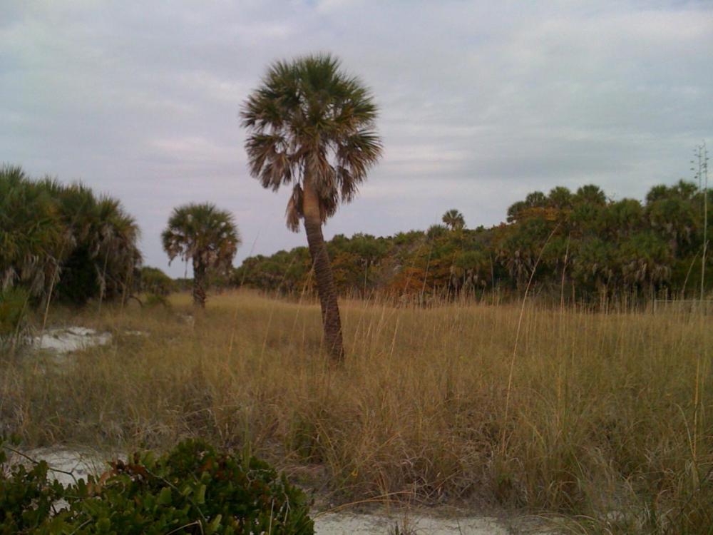 IMG_1191.jpg