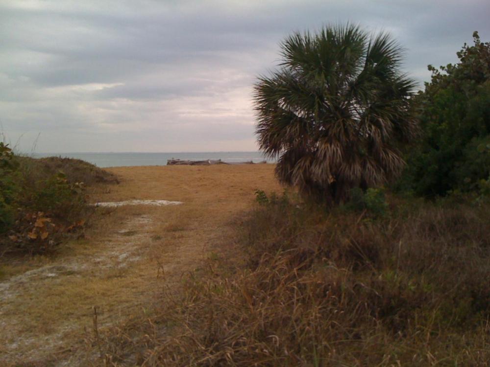 IMG_1213.jpg