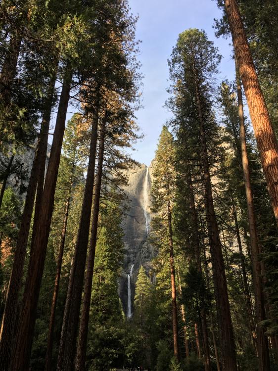 IMG_1429.thumb.JPG.0b17c576eaaaa0f156ac4