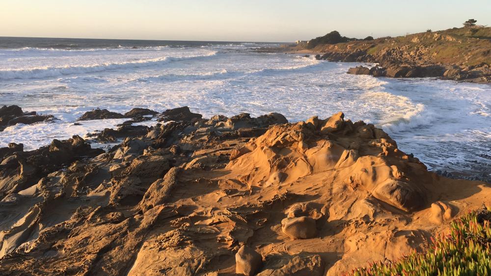 IMG_1682.thumb.JPG.3ac3047fe5daf721f192f