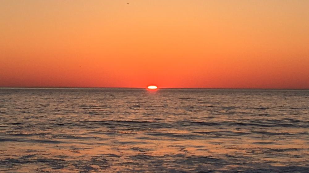 IMG_1873.thumb.JPG.58e85d60f34f6cdea28d9