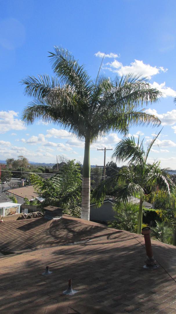 Up on the Housetop in La Habra, California