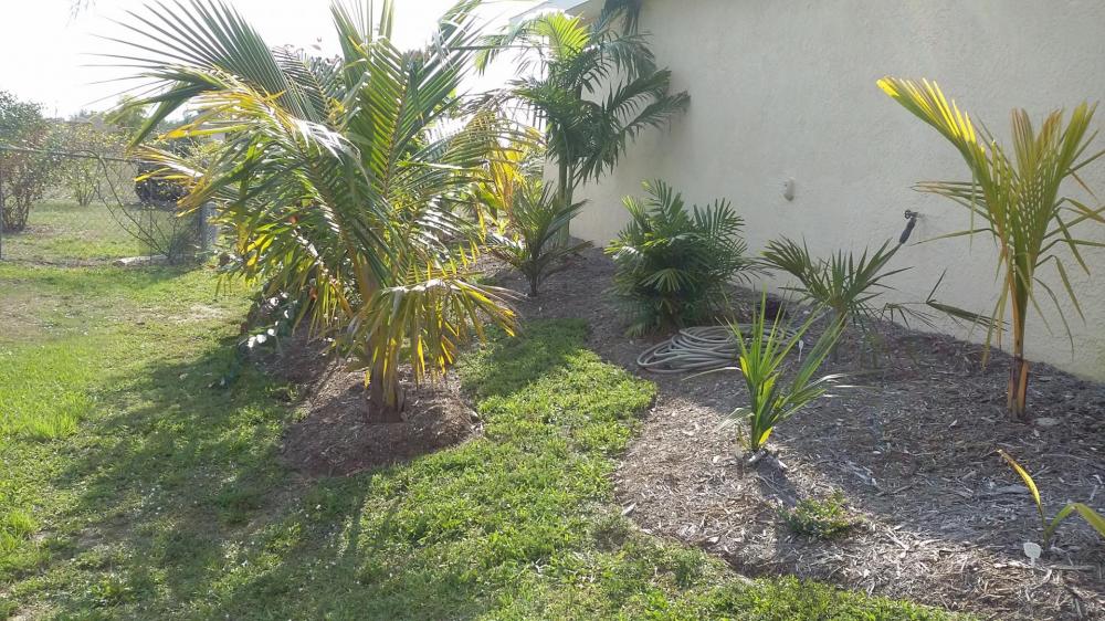 20150405_170707.jpg