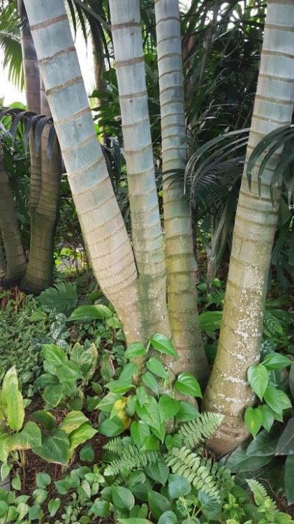 20170103_182800.jpg