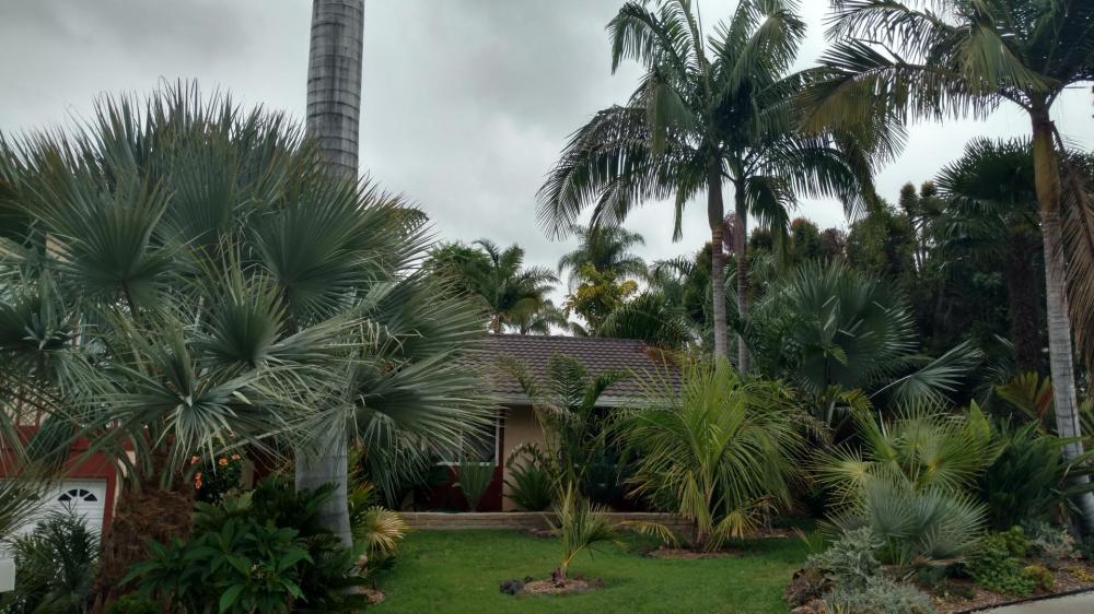 586f1a1b22555_NewFrontYard.thumb.jpg.0a6