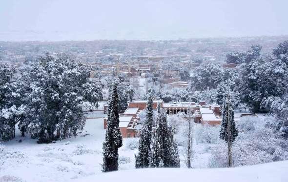 5888e4186463b_snowinsahara6.jpg.aeccdfb2