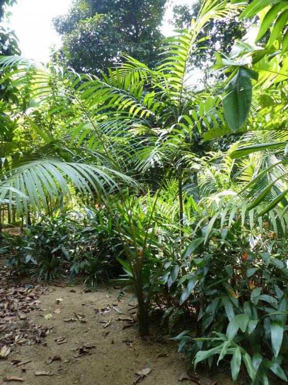 P1030798.thumb.JPG.4d1fbfbdd512e57779939