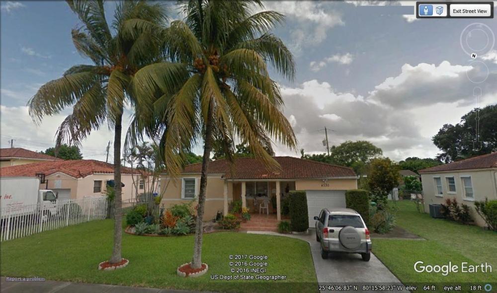 58a284484f6cc_CoconutPalmsyellowMiami-Co