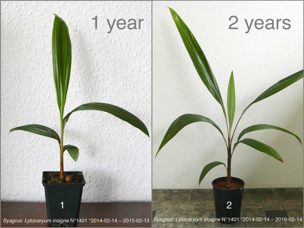 58a2f985e05c6_N140120151617-02-14.thumb.