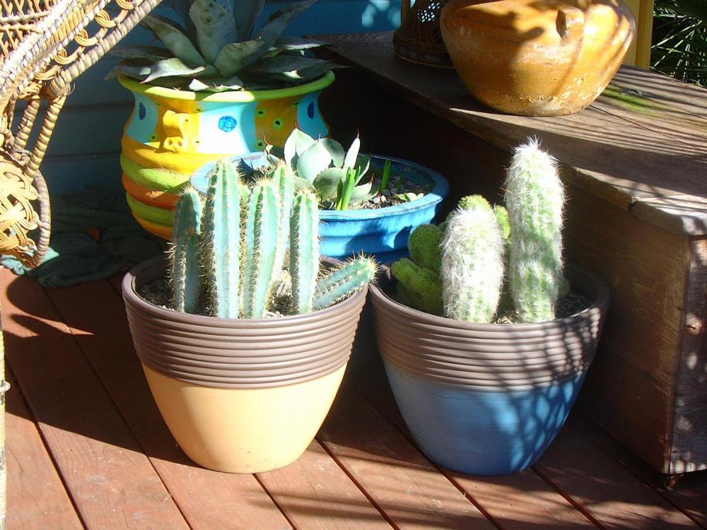 DSC00012.JPG