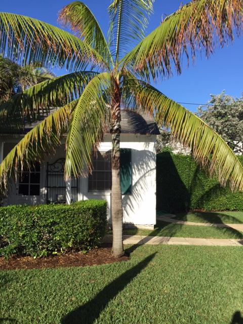 IMG_3941.JPG.00ac577944c56a307847bd92e92