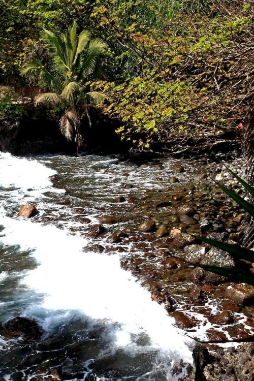 IMG_5232.thumb.jpg.7ca2be677ee3d918cf0c3