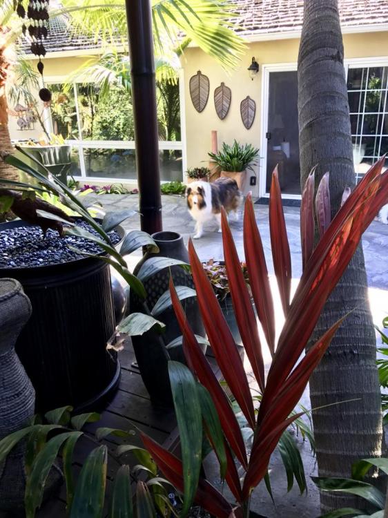 IMG_2140.thumb.JPG.5633b150e5b40b639ce8b